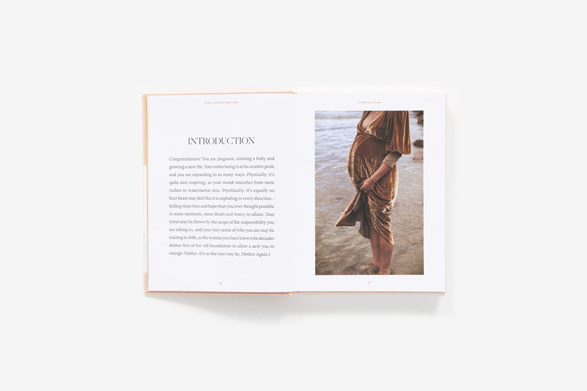 Nine Golden Months - The Essential Art of Nourishing the Mother-To-Be