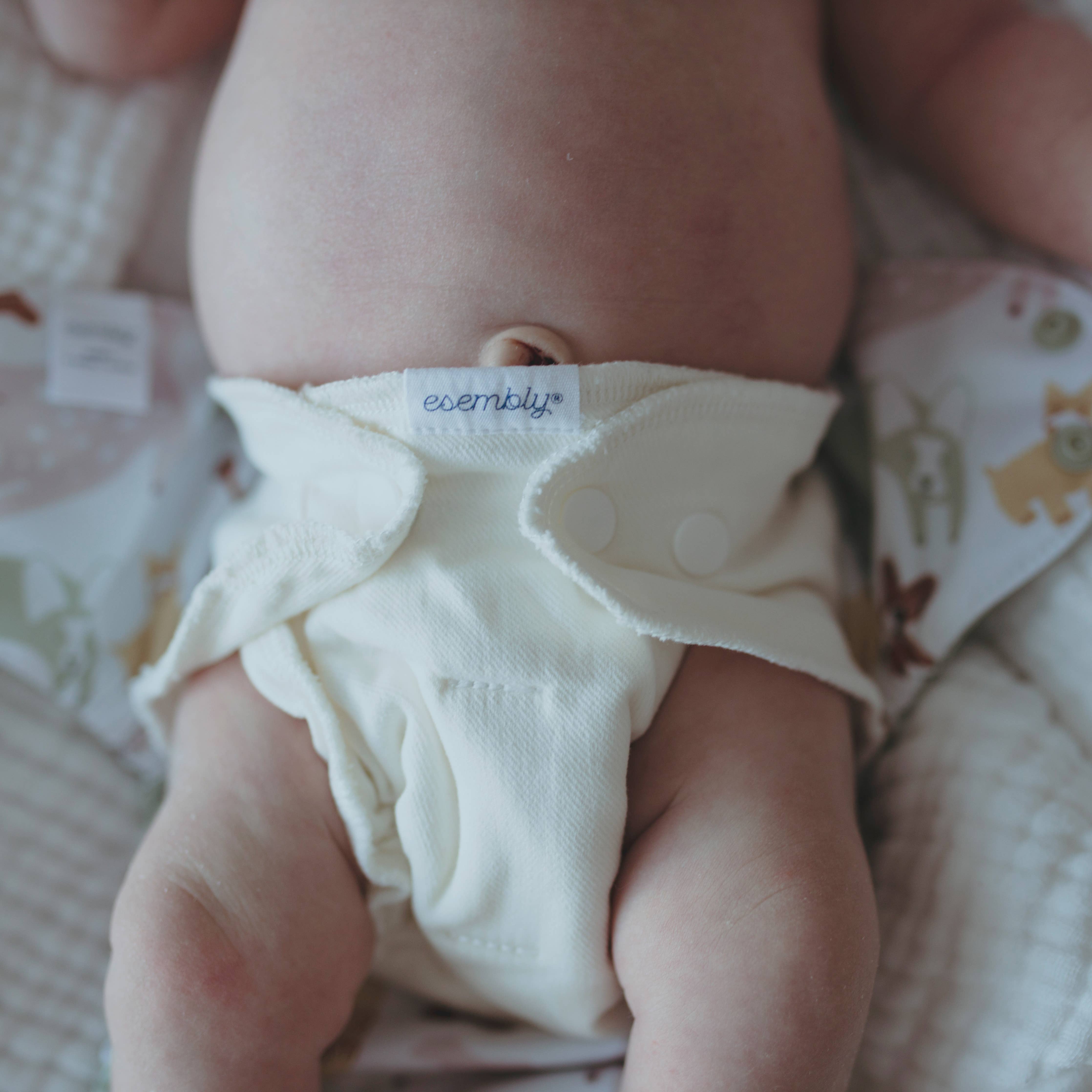 Esembly - Inner - 3 pack Cloth Diaper