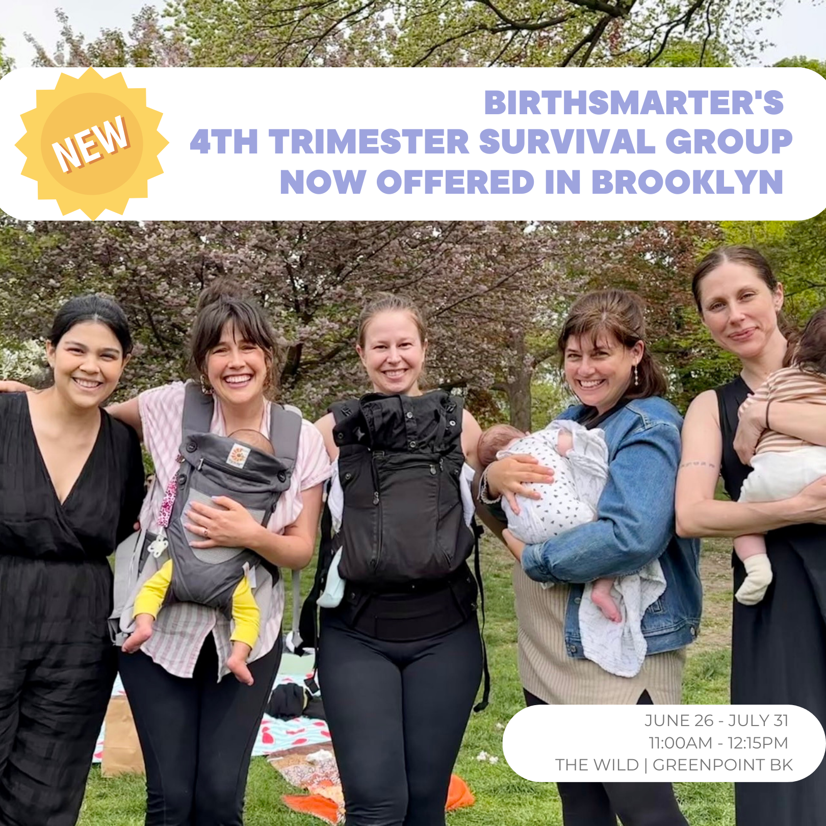 Birthsmarter Fourth Trimester Survival Group (In-Person) – The Wild