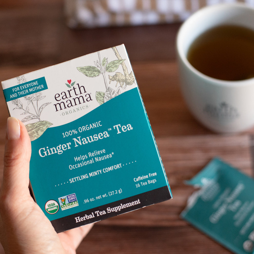 Earth Mama Organics Morning Wellness/ Ginger Nausea Tea