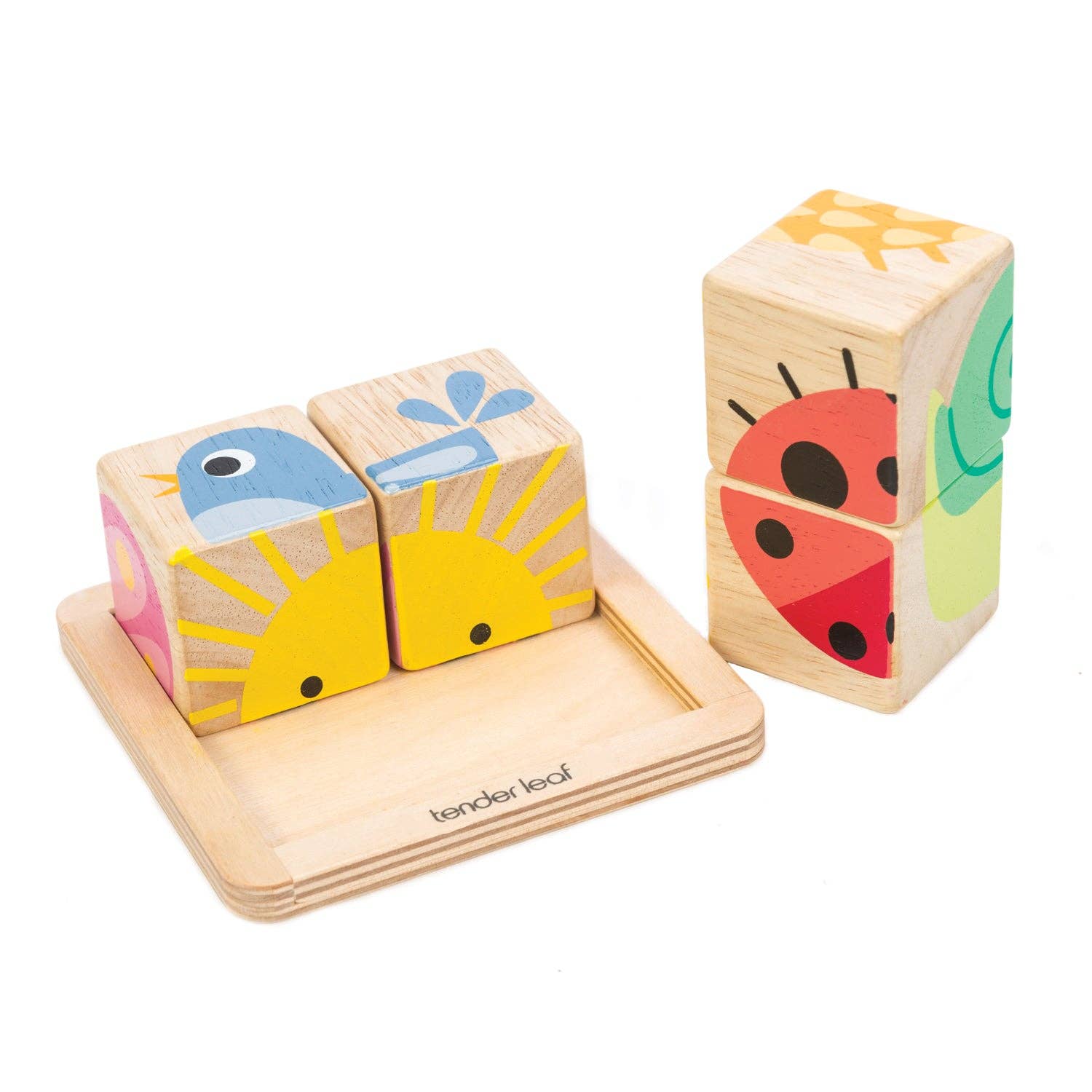Tender Leaf Toys - Baby Blocks