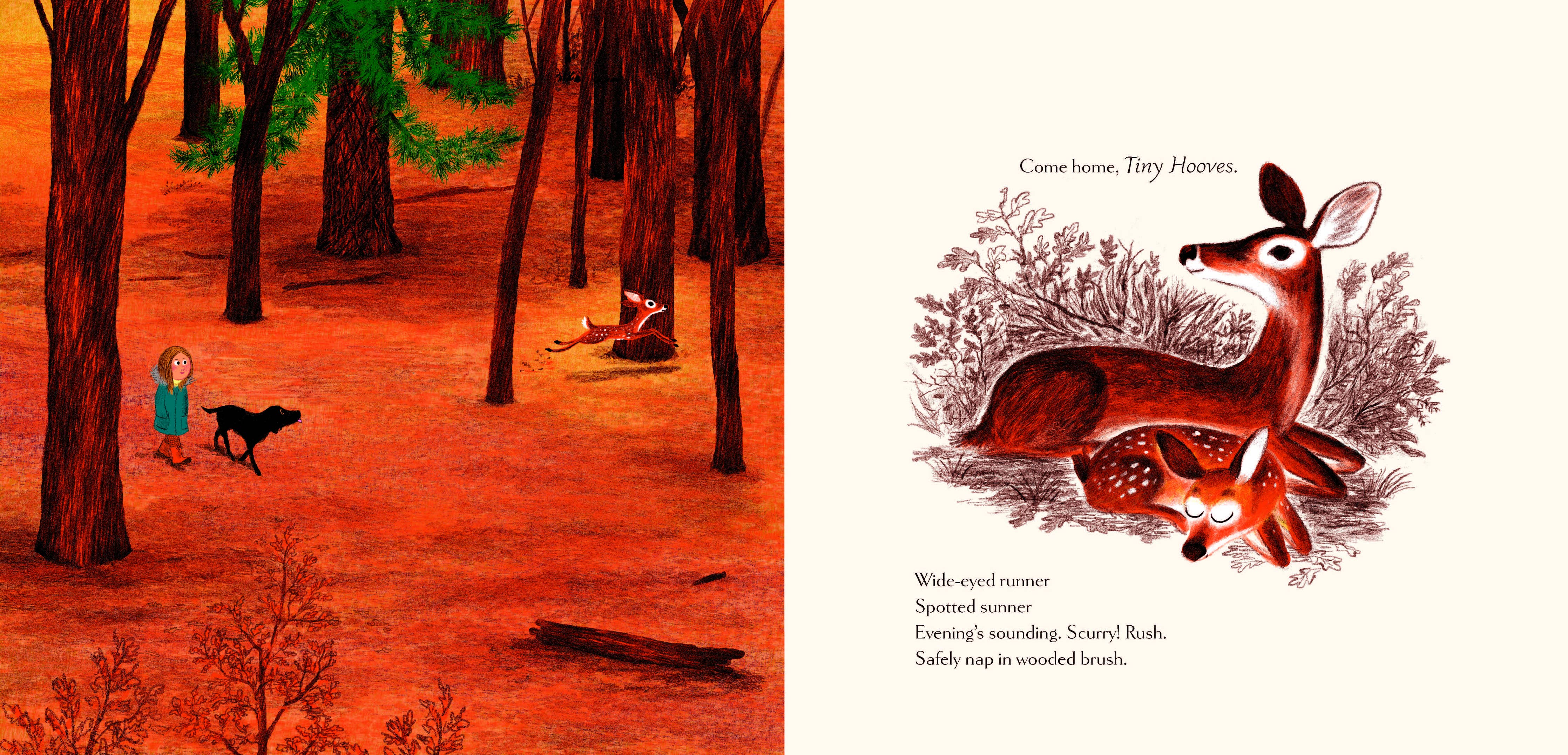 Chronicle Books - Woodland Dreams