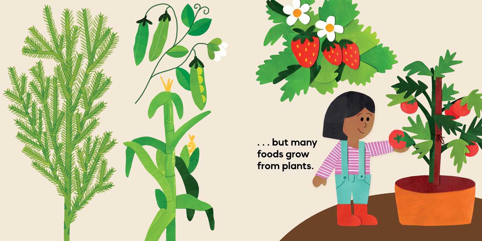 Simon & Schuster - Our Food Grows by Sarah M. White