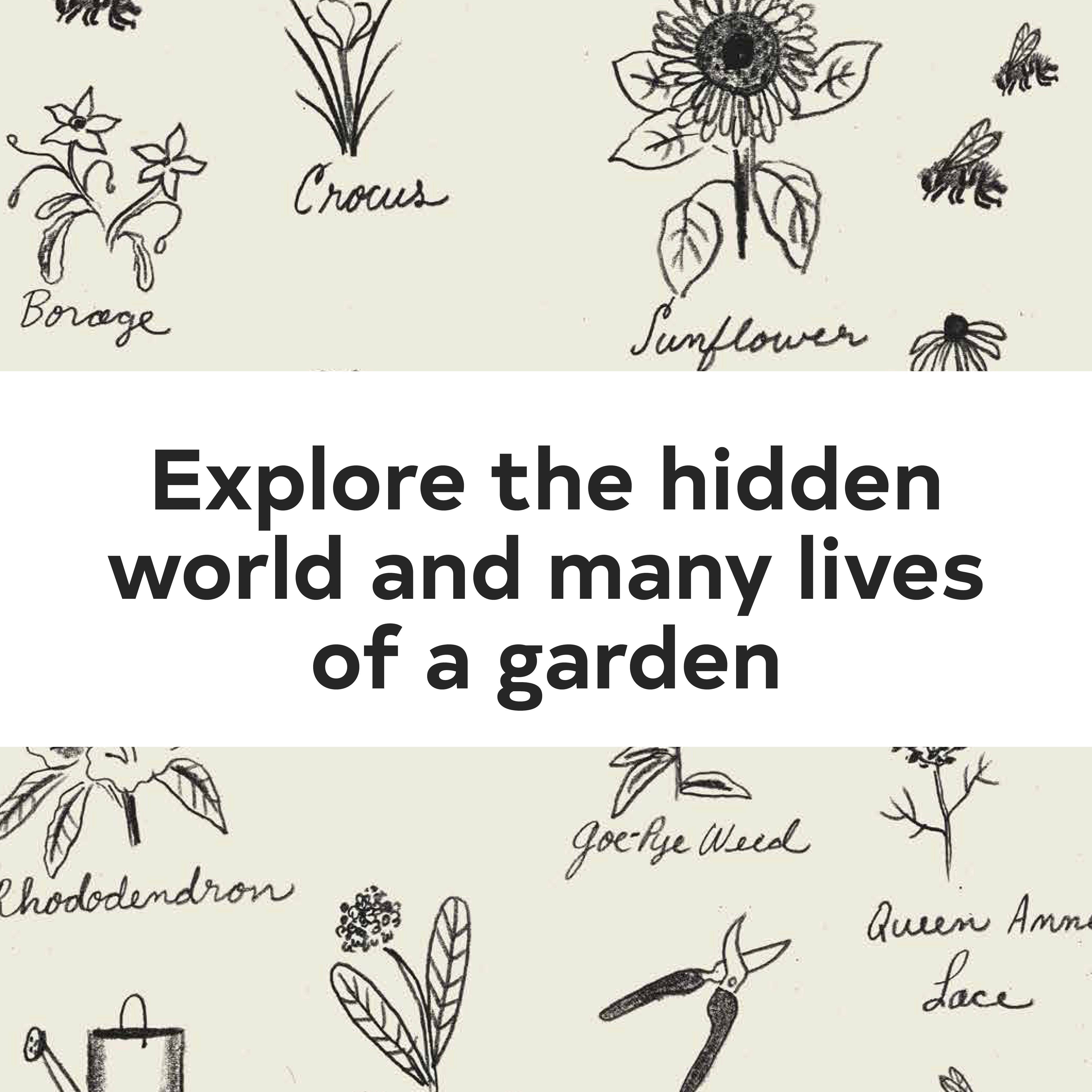 Chronicle Books - Up in the Garden and Down in the Dirt