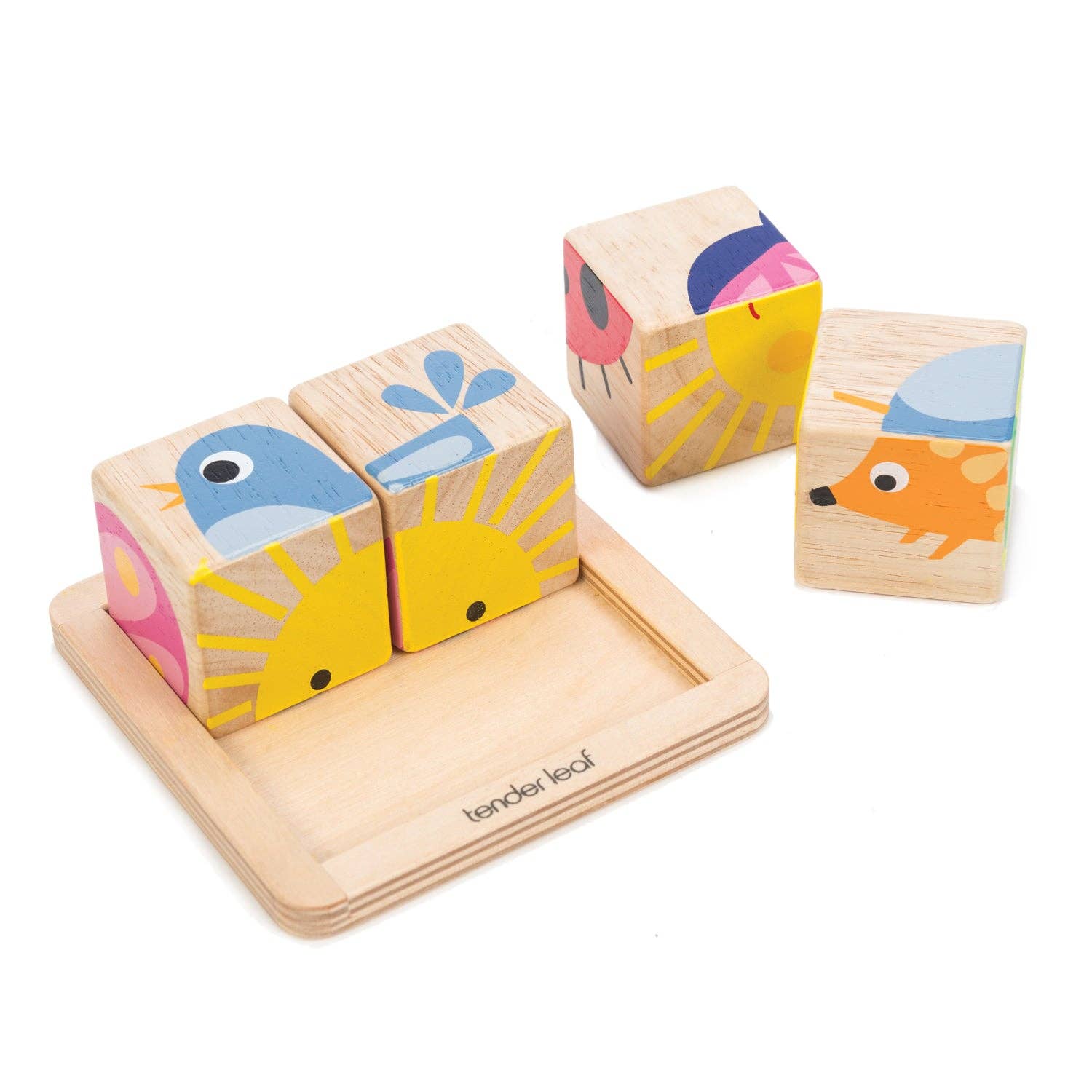 Tender Leaf Toys - Baby Blocks