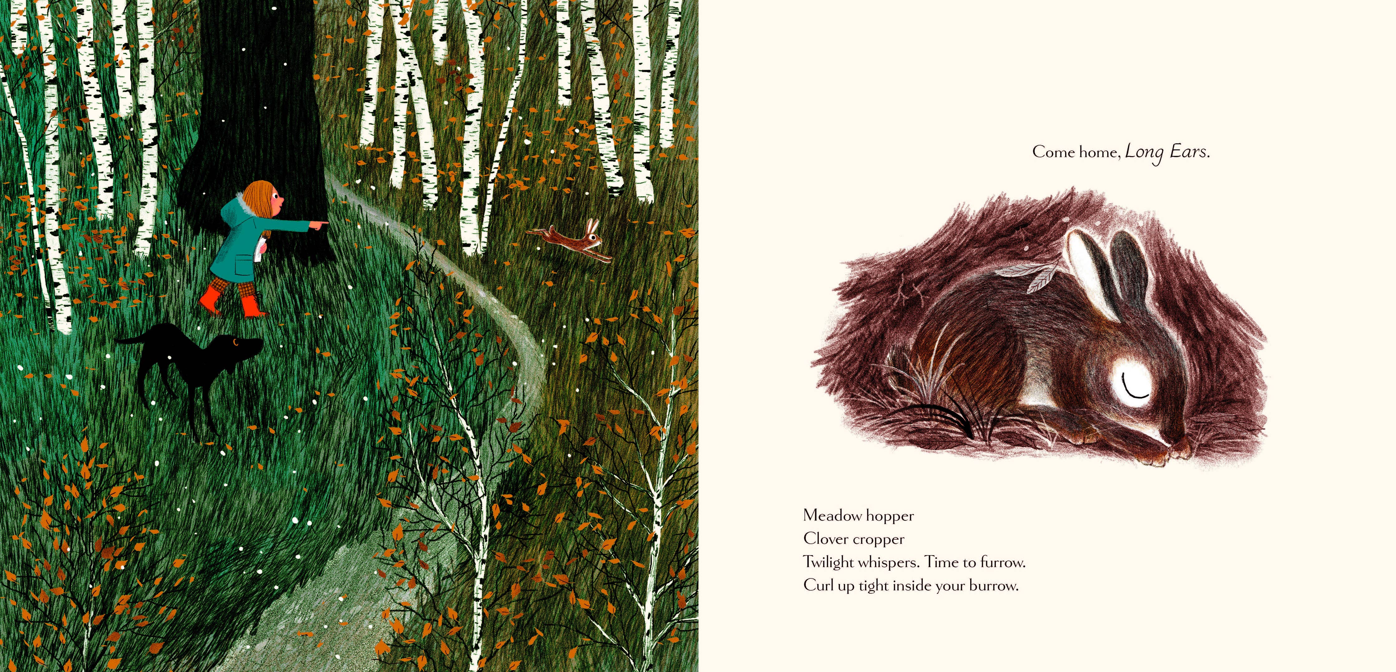 Chronicle Books - Woodland Dreams