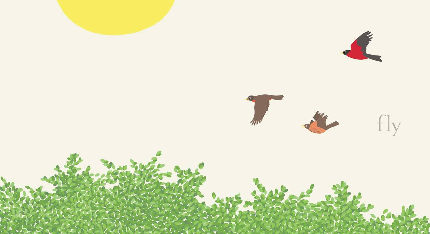 Simon & Schuster - Nest by Jorey Hurley