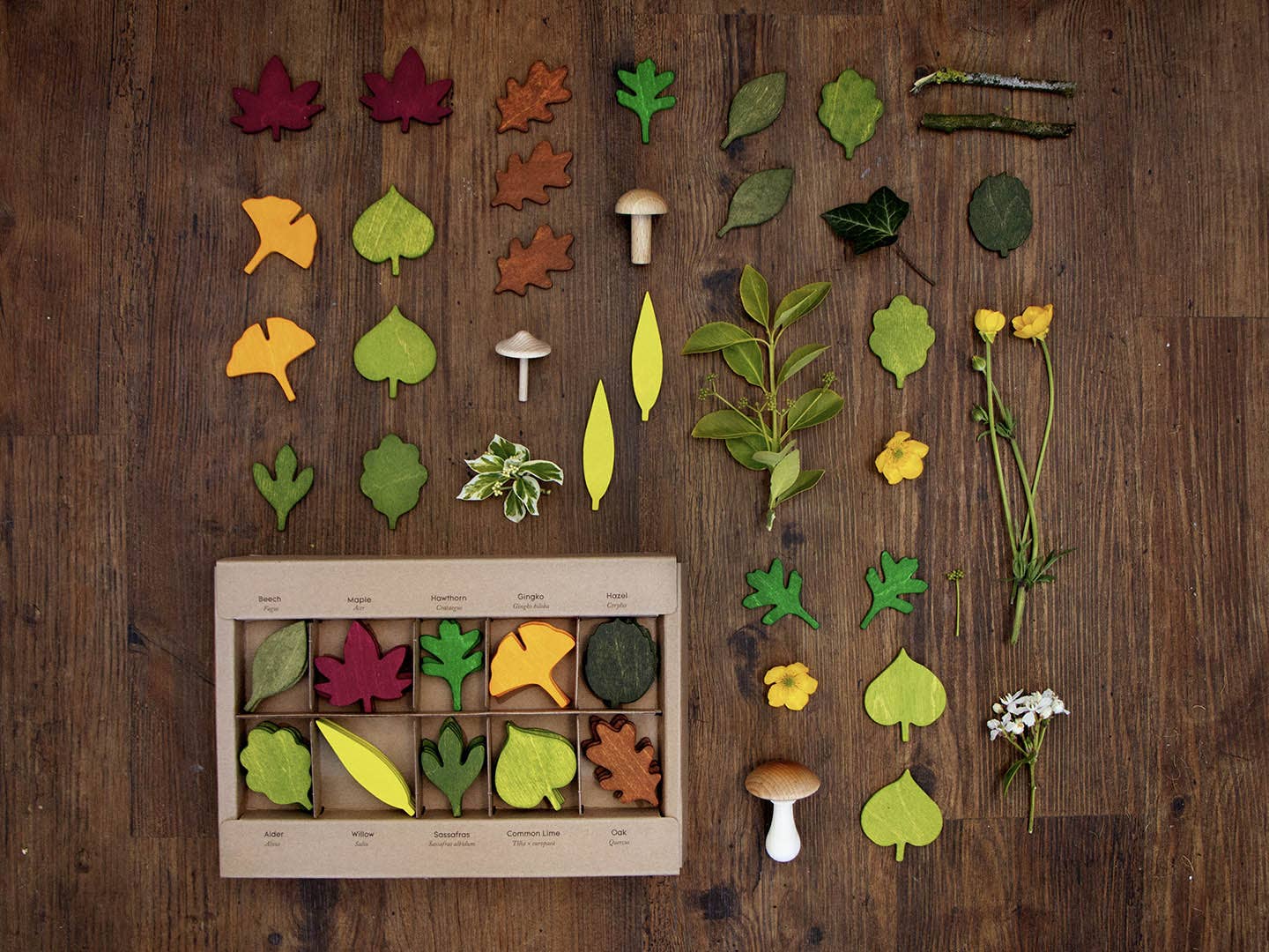 Living Refinery - Moon Picnic - Woodland Leaves
