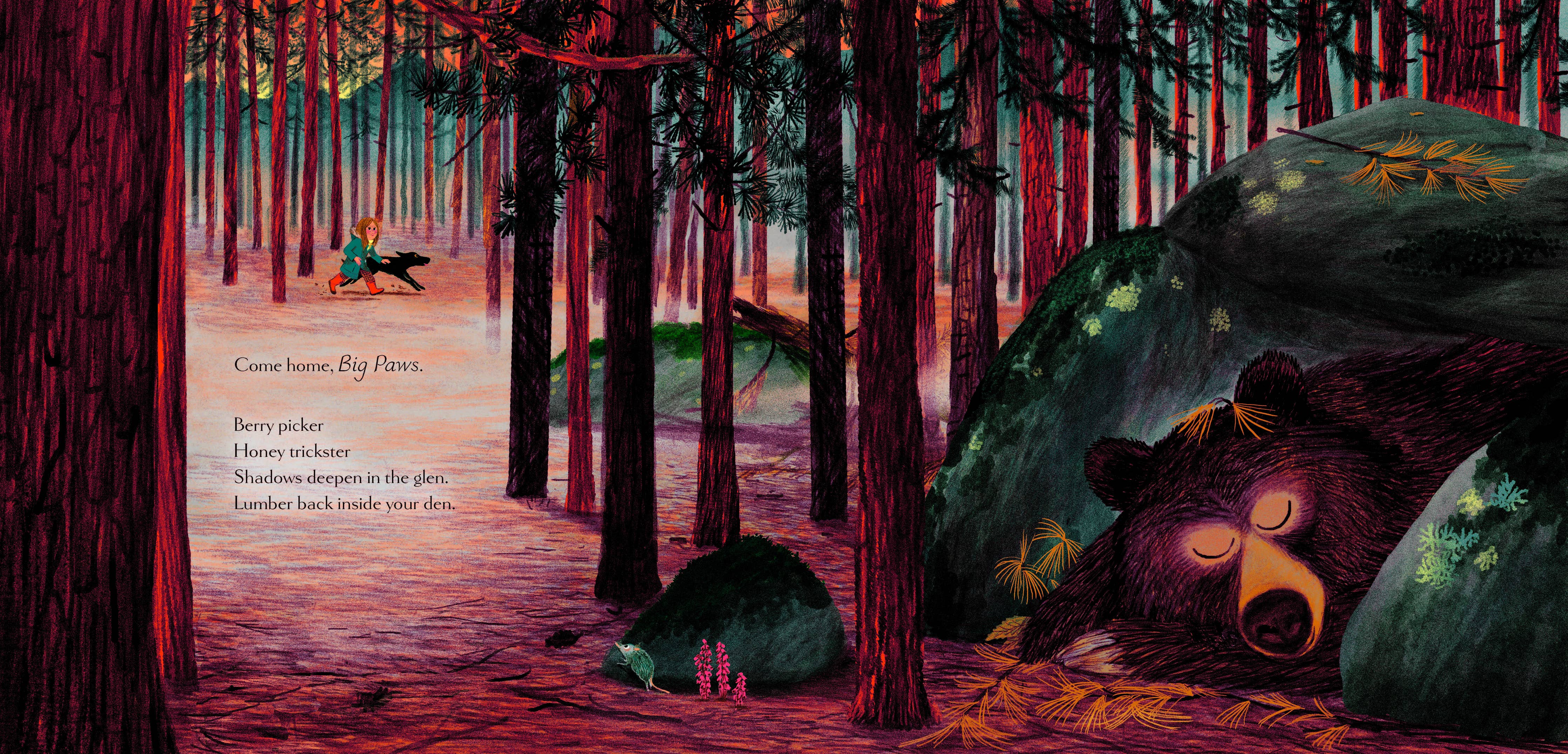 Chronicle Books - Woodland Dreams