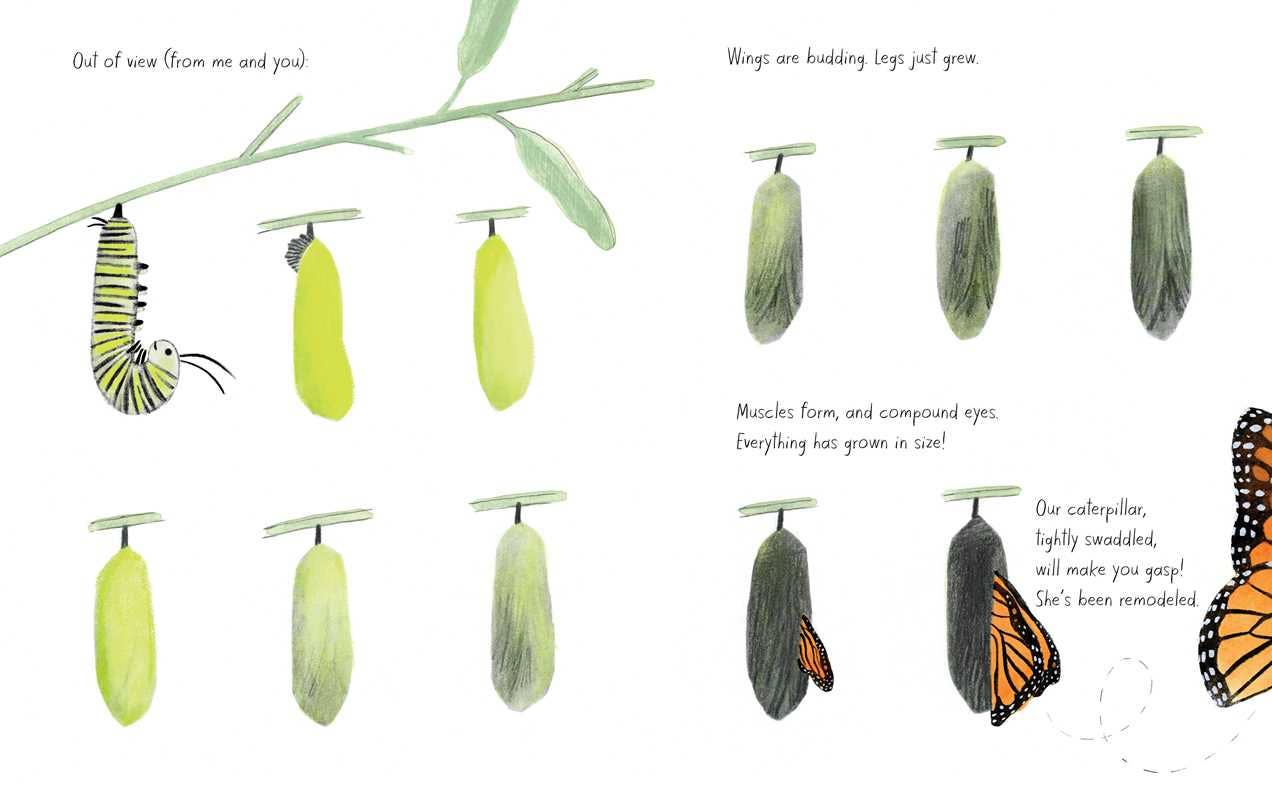 Simon & Schuster - Monarch by Kirsten Hall