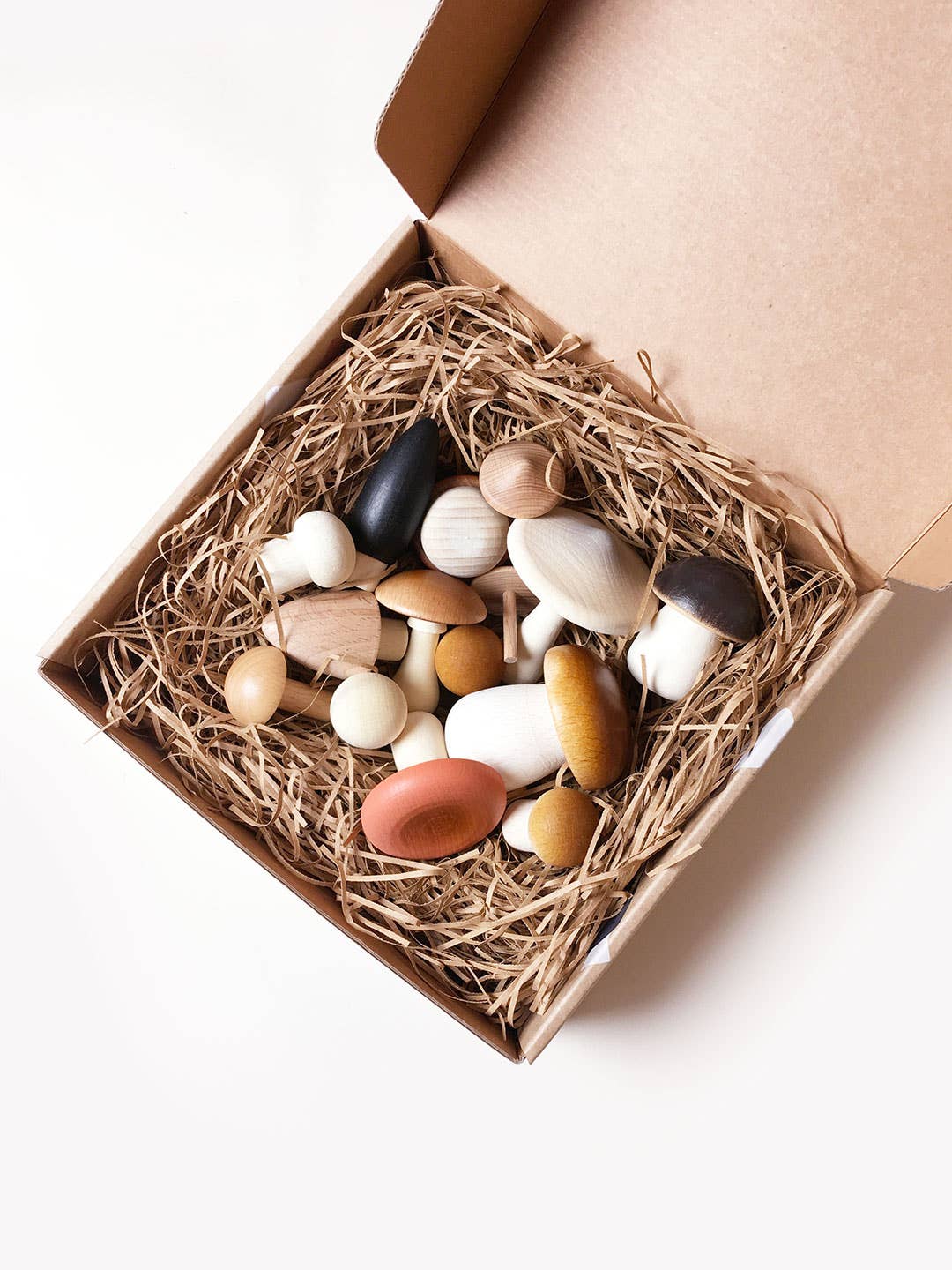 Living Refinery - Moon Picnic - Forest Mushrooms in a box