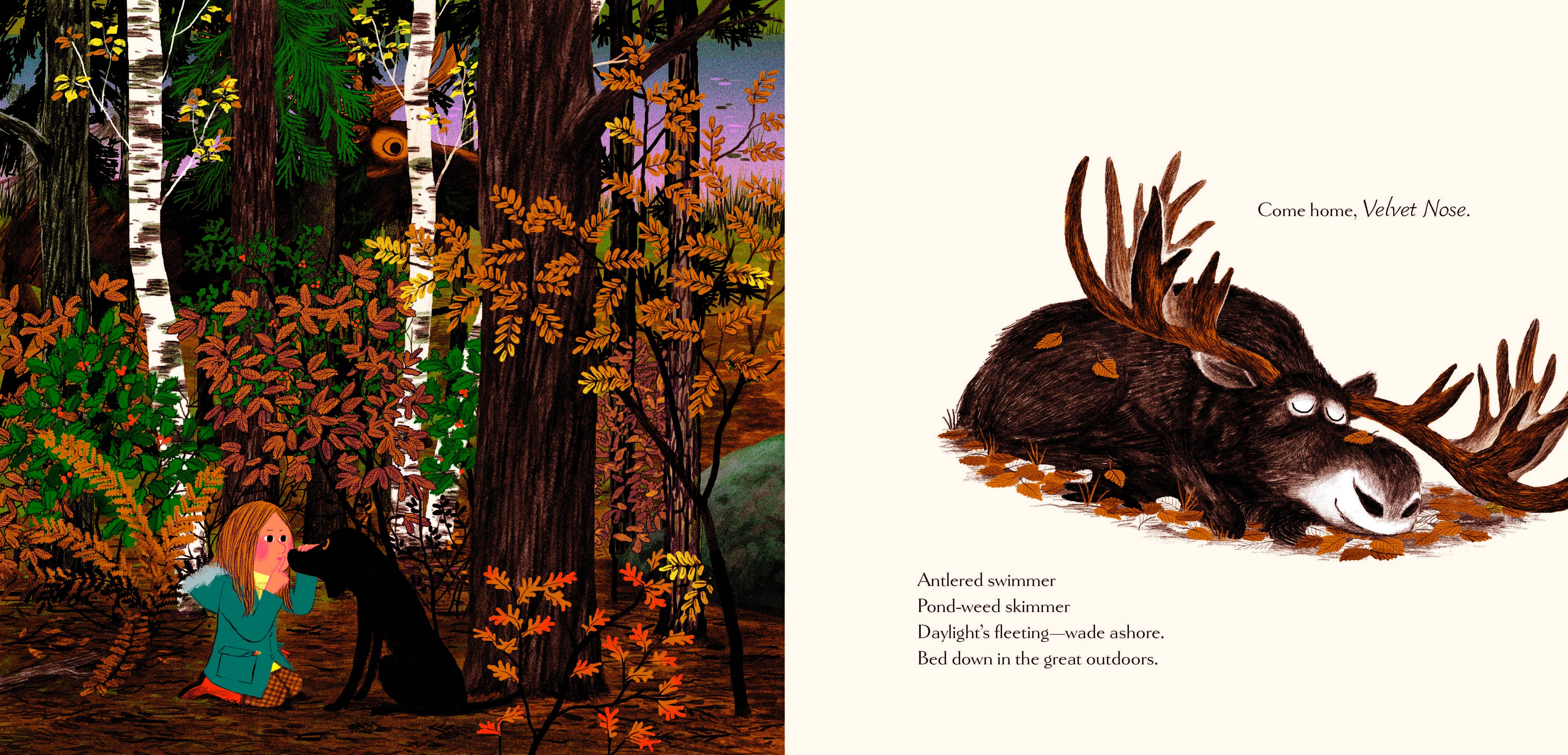 Chronicle Books - Woodland Dreams