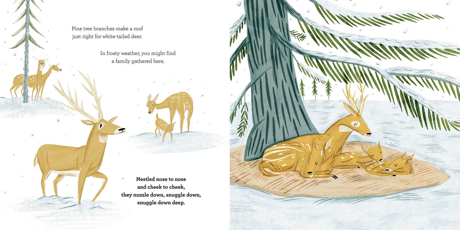 Simon & Schuster - Snuggle Down Deep by Diane Ohanesian