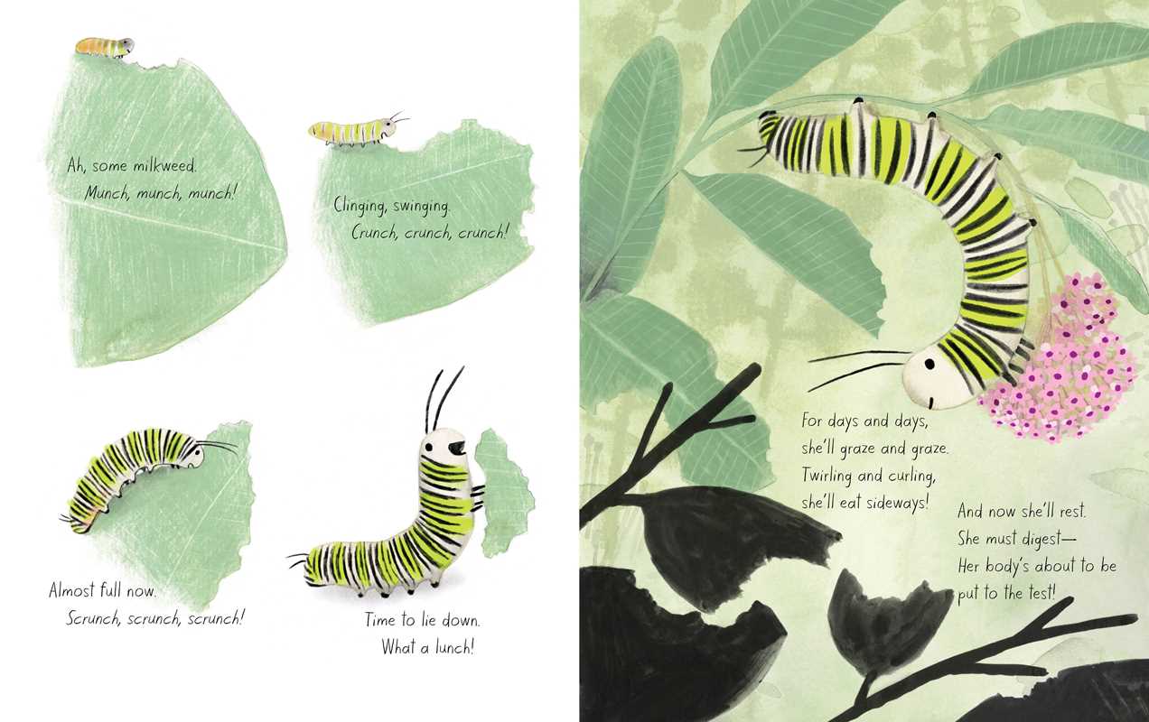Simon & Schuster - Monarch by Kirsten Hall