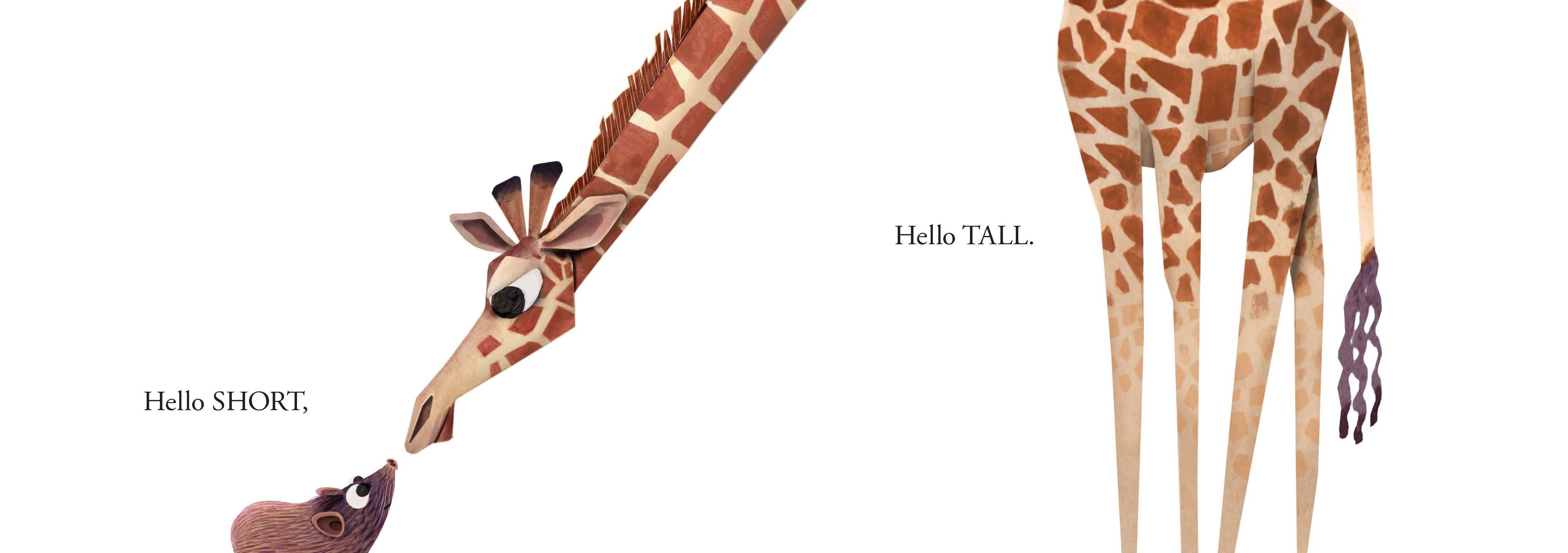 Chronicle Books - Hello Hello Opposites