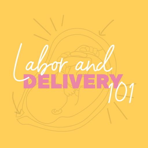 Birthsmarter Childbirth Education Series: Intro to Labor and Delivery (In-Person)