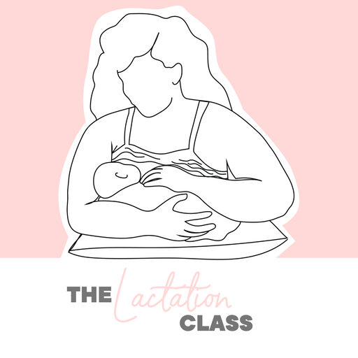 Birthsmarter The Lactation Class (In-Person)