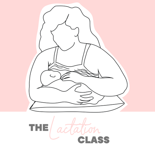 Birthsmarter Postpartum Education Series: The Lactation Class (In-Person)