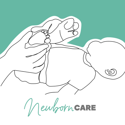 Birthsmarter Postpartum Series: The Newborn Care Class (In-Person)