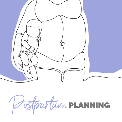 Birthsmarter Postpartum Education Series: The Postpartum Planning Class (Virtual)