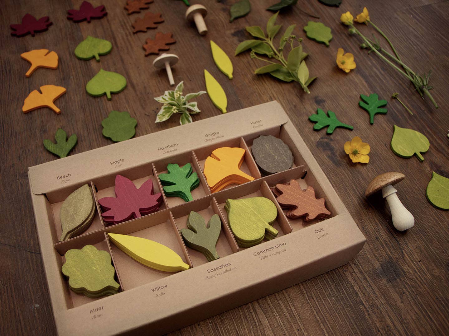 Living Refinery - Moon Picnic - Woodland Leaves