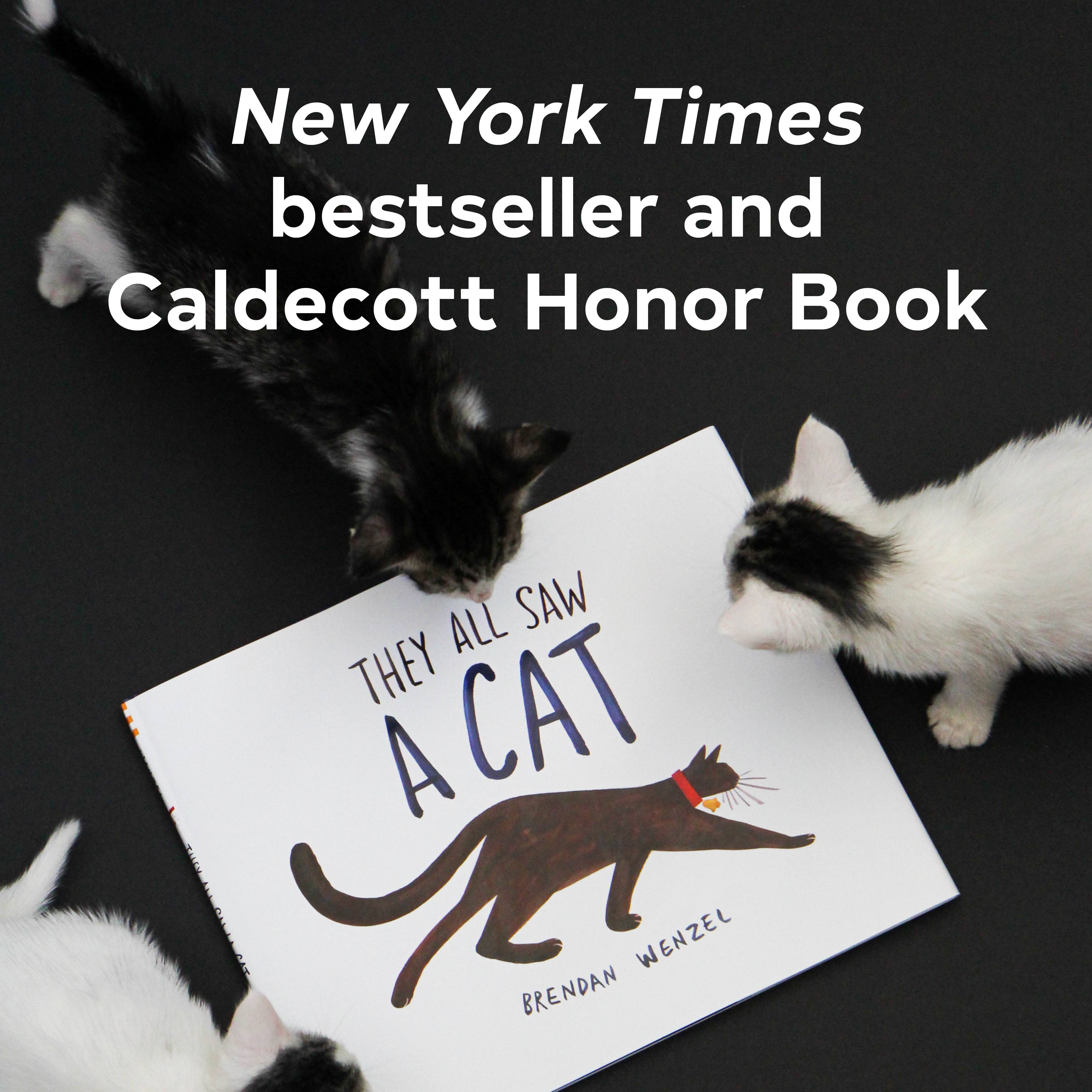 Chronicle Books - They All Saw a Cat