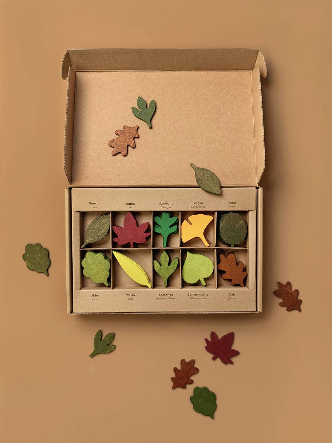 Living Refinery - Moon Picnic - Woodland Leaves
