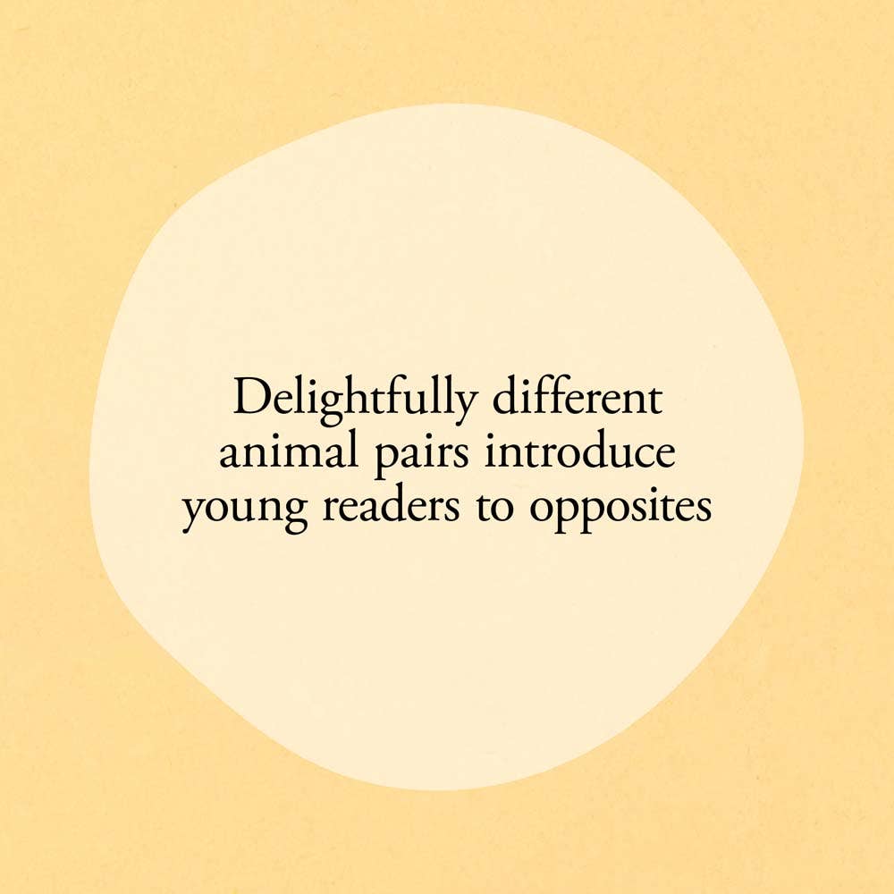 Chronicle Books - Hello Hello Opposites