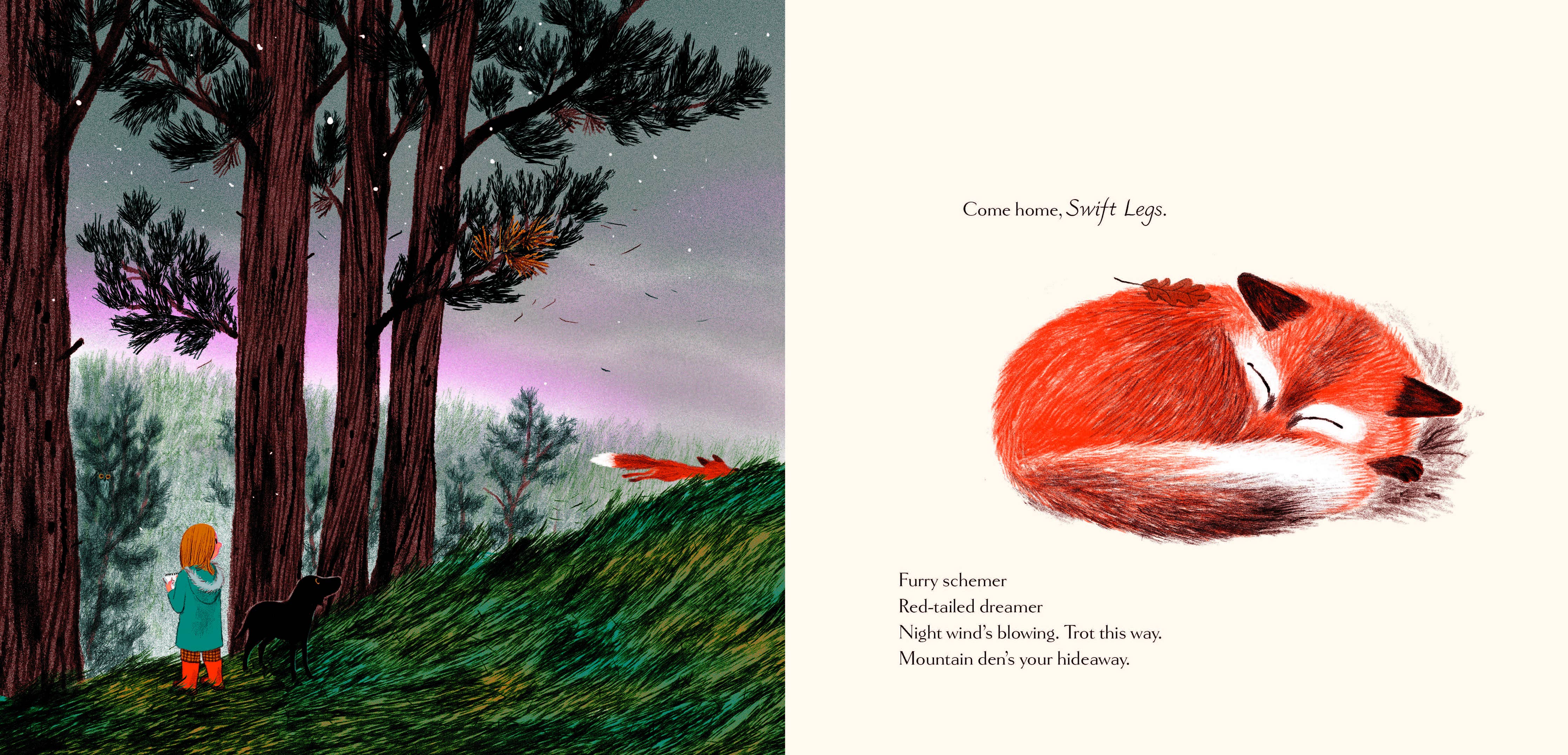 Chronicle Books - Woodland Dreams