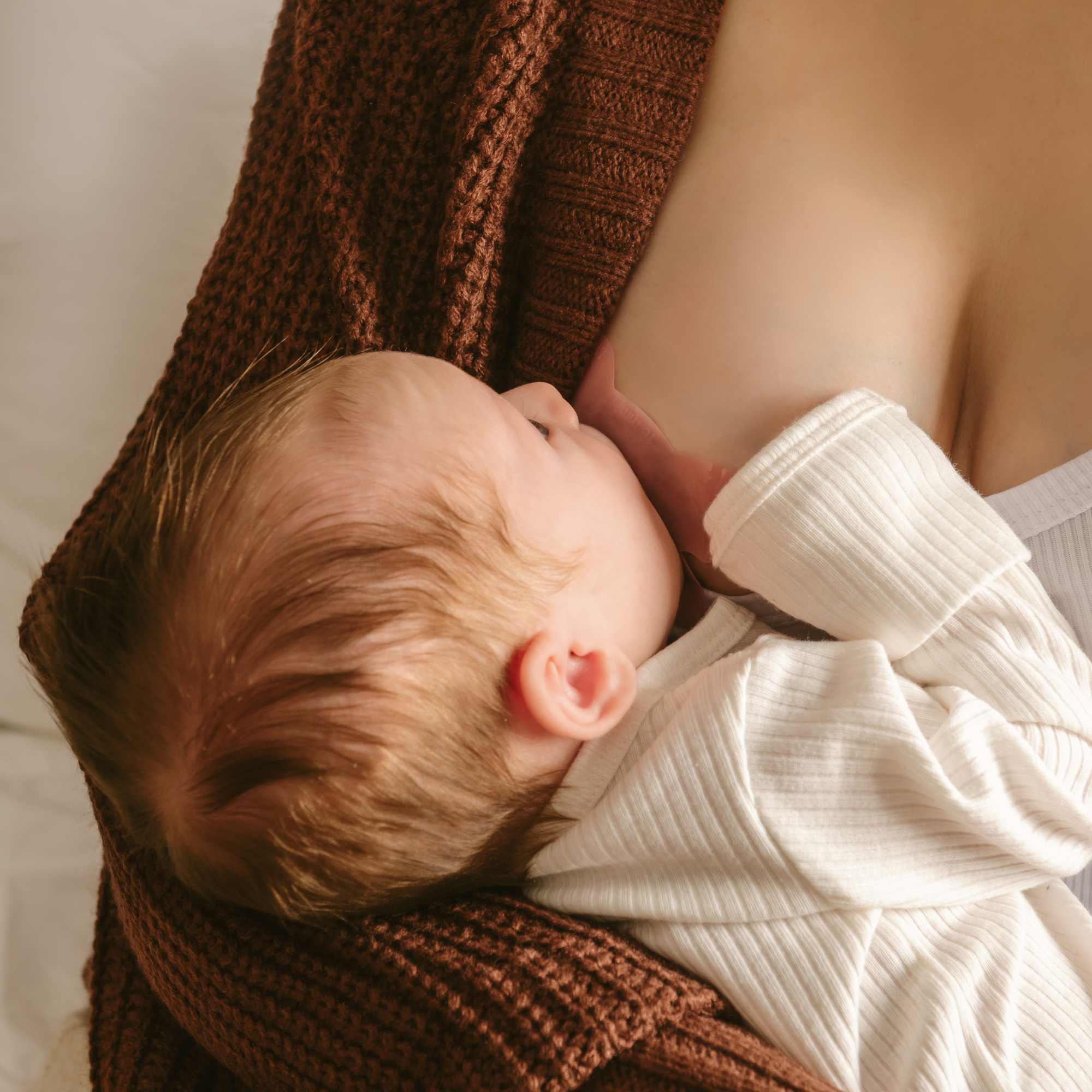 Le Lolo - Nipple Shield Set