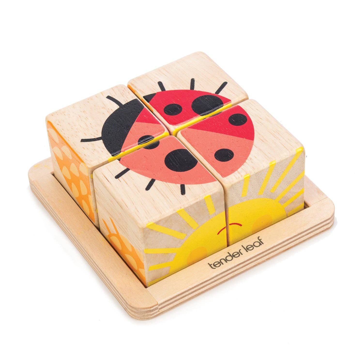 Tender Leaf Toys - Baby Blocks