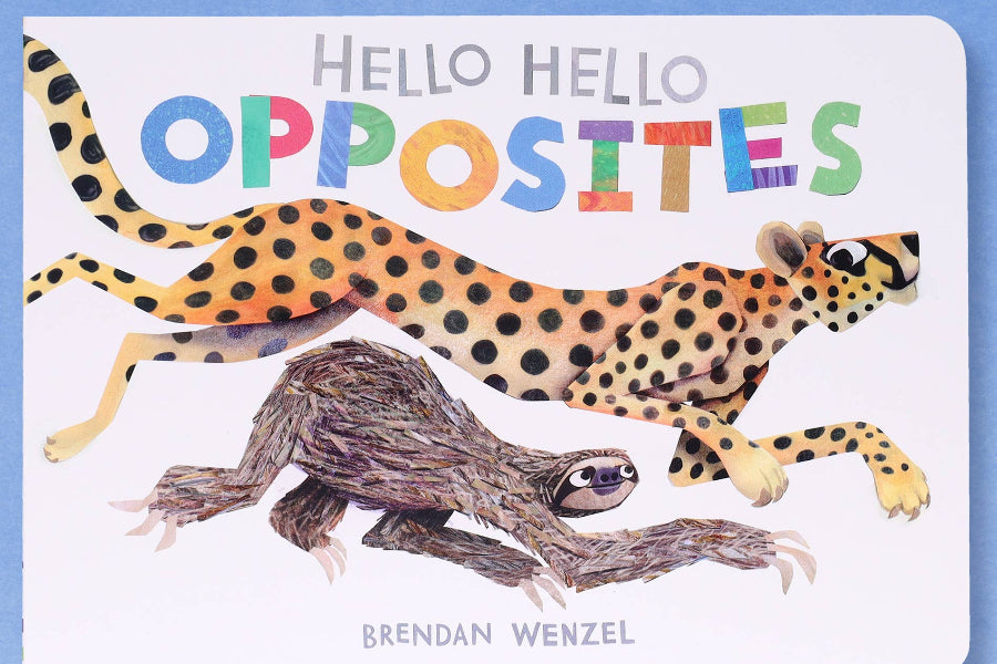 Chronicle Books - Hello Hello Opposites