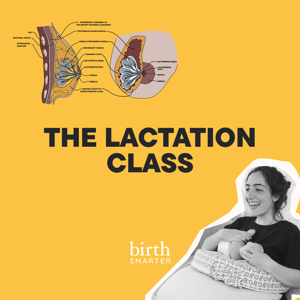 The Lactation Class