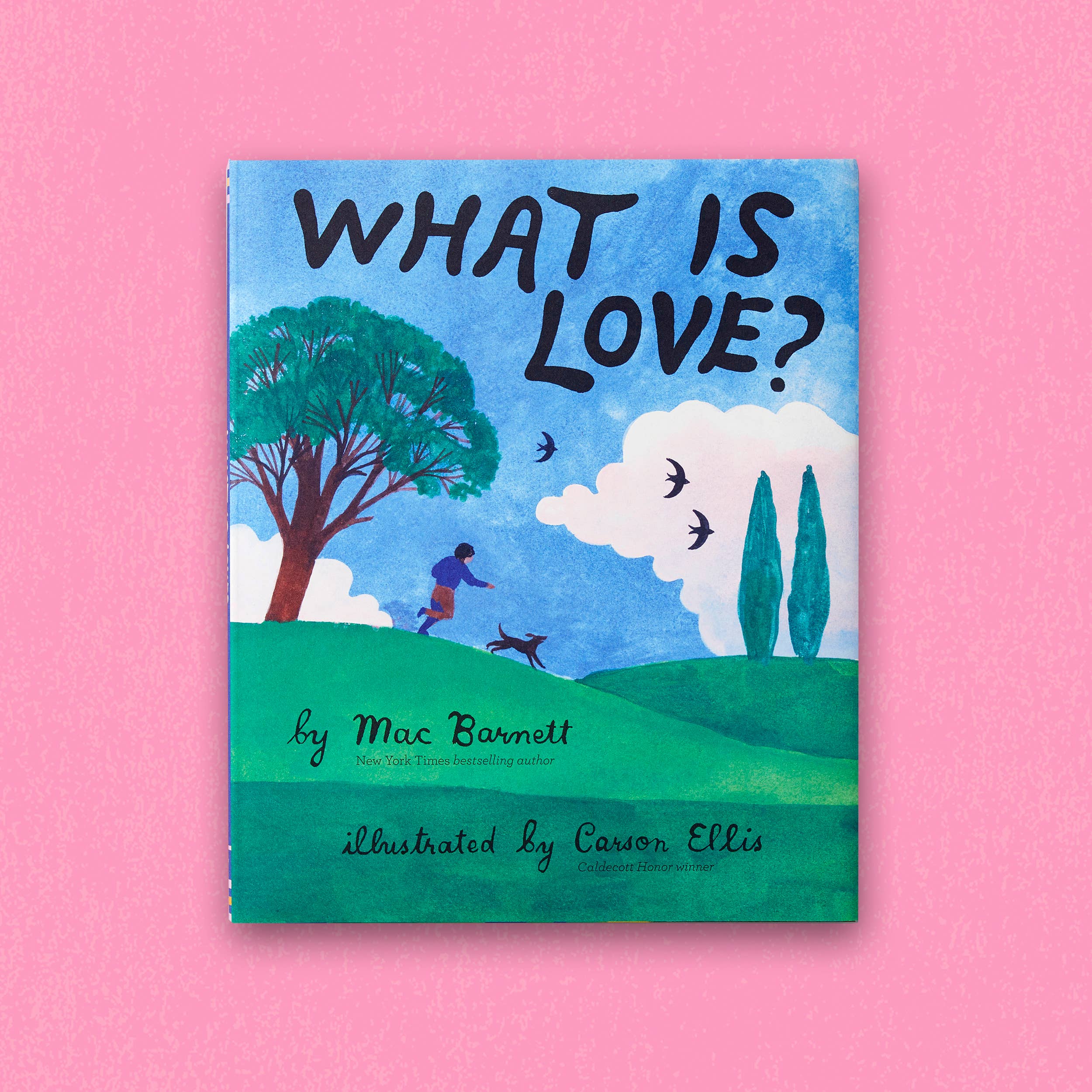 Chronicle Books - What Is Love?