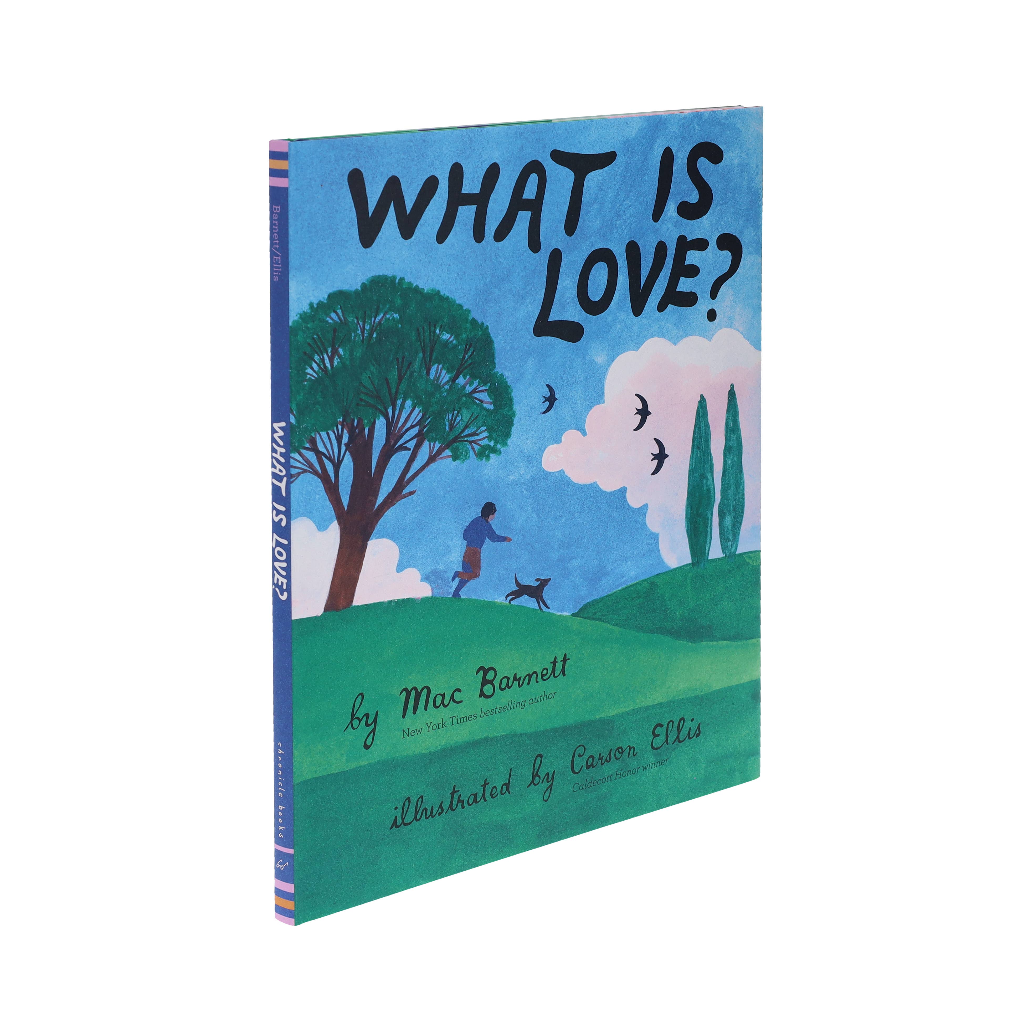 Chronicle Books - What Is Love?
