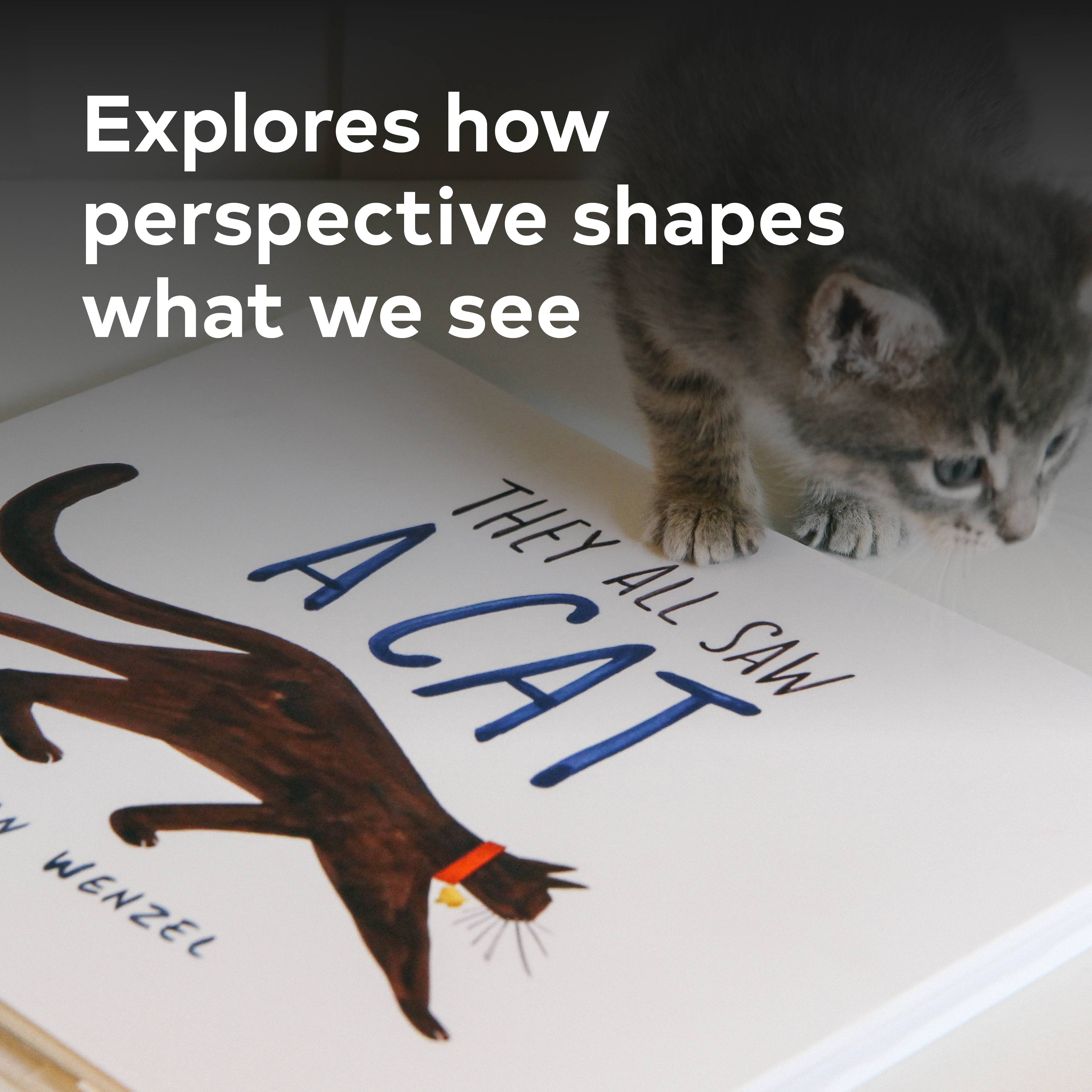 Chronicle Books - They All Saw a Cat