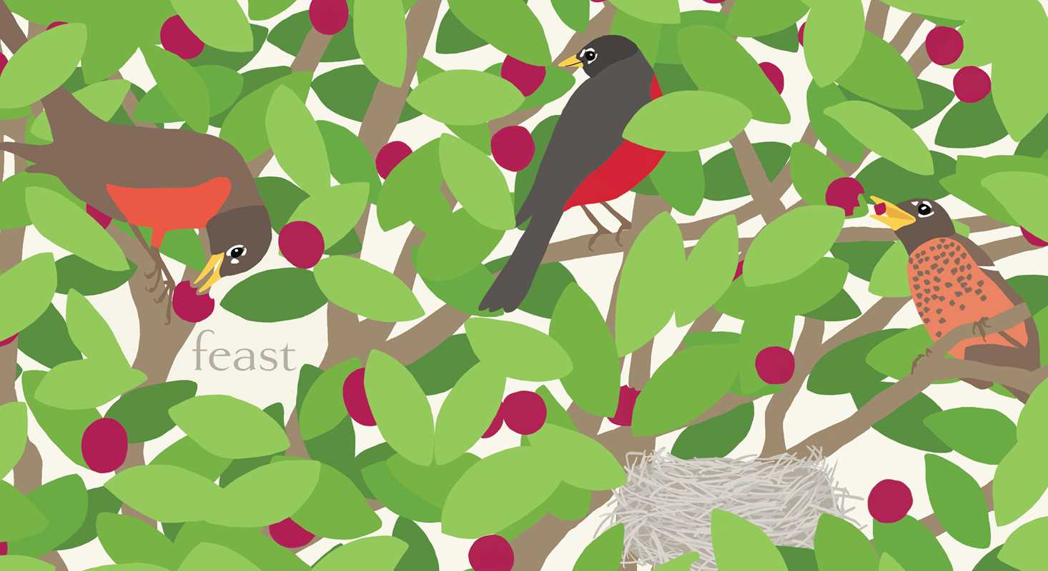 Simon & Schuster - Nest by Jorey Hurley