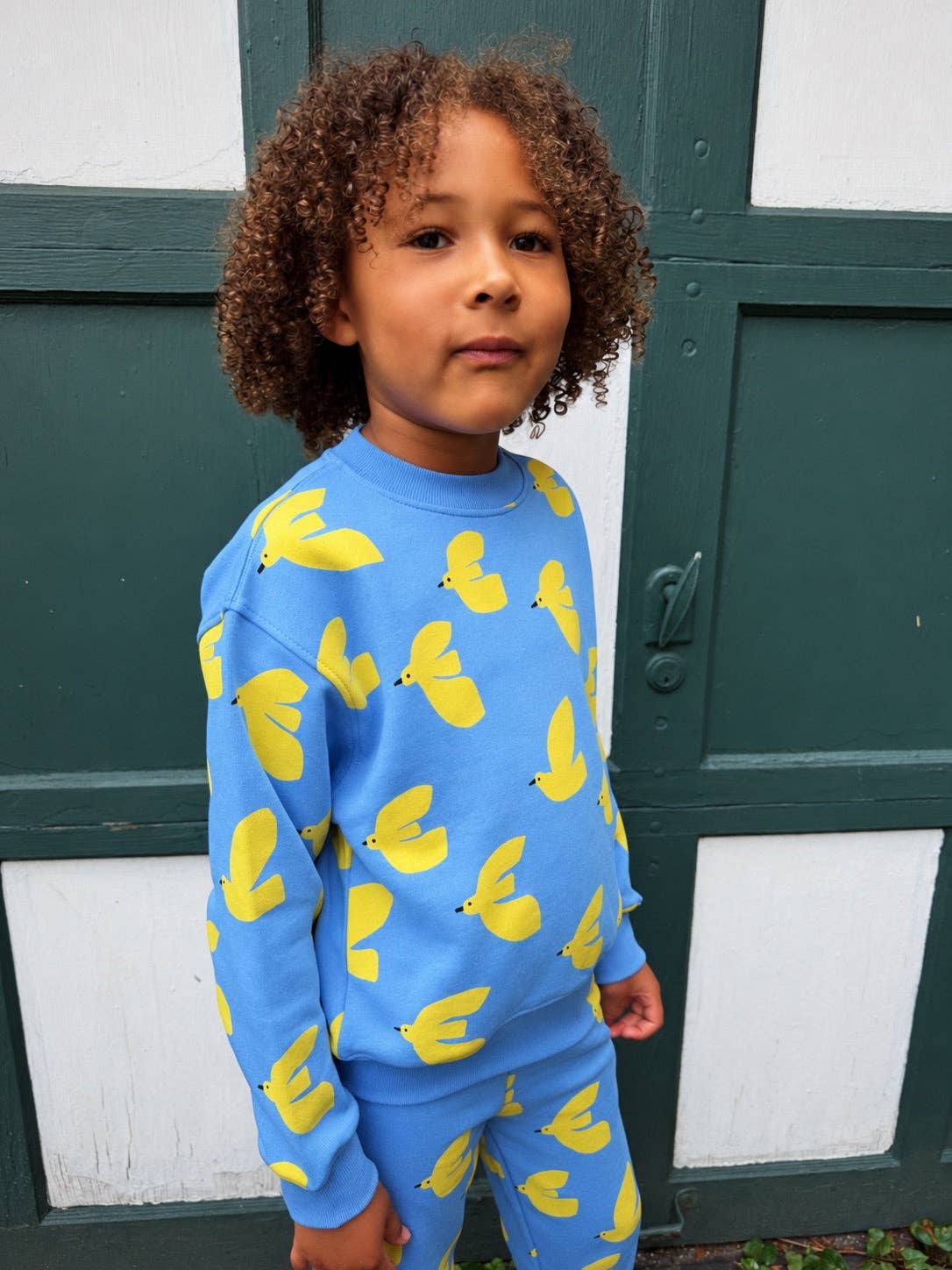 Lewis - Sweatshirt - Dove | Breeze