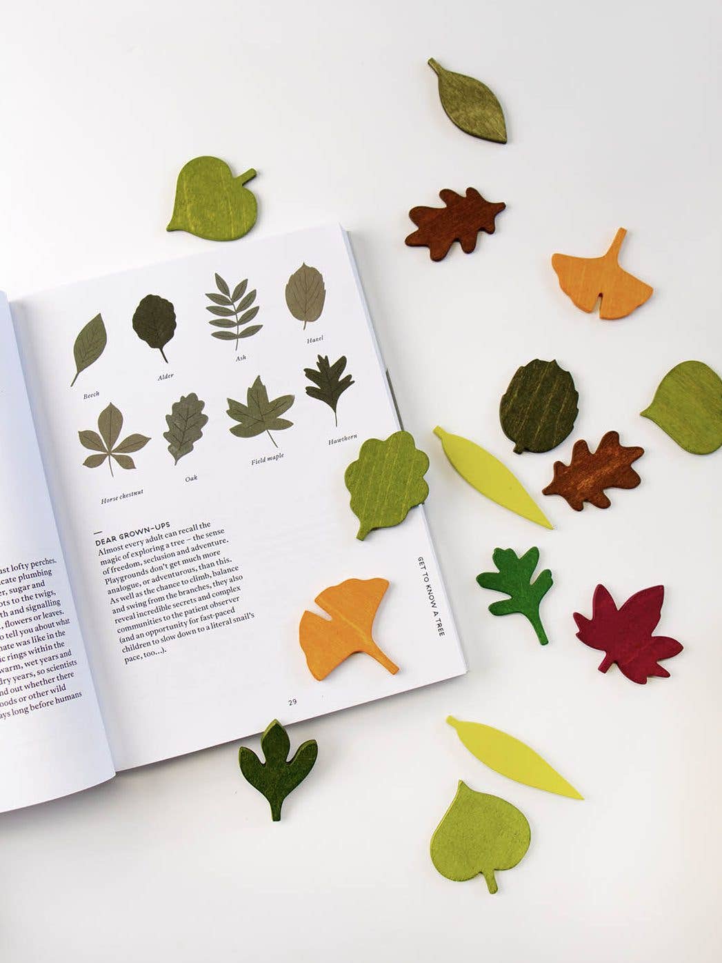 Living Refinery - Moon Picnic - Woodland Leaves
