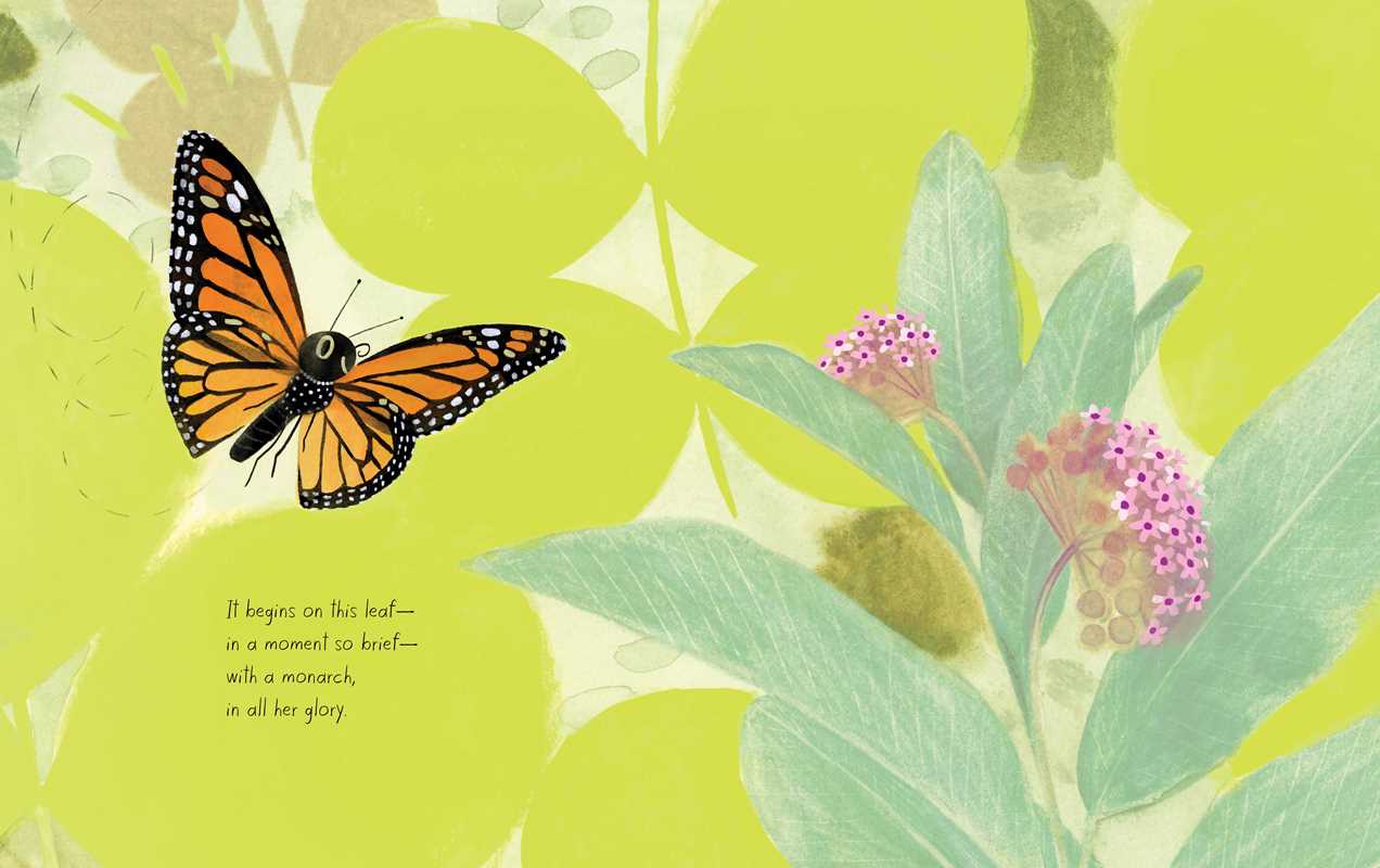Simon & Schuster - Monarch by Kirsten Hall