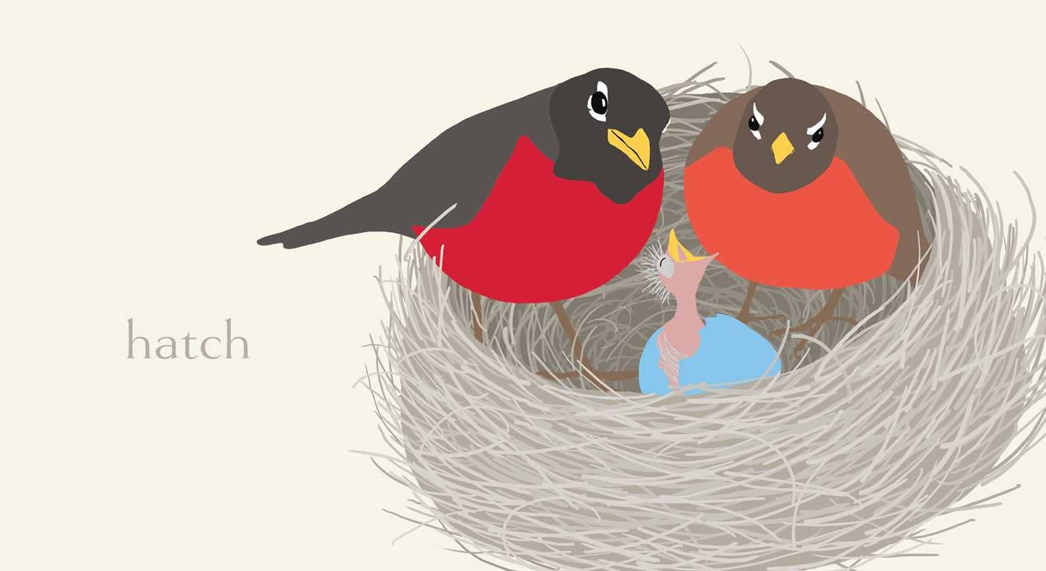 Simon & Schuster - Nest by Jorey Hurley