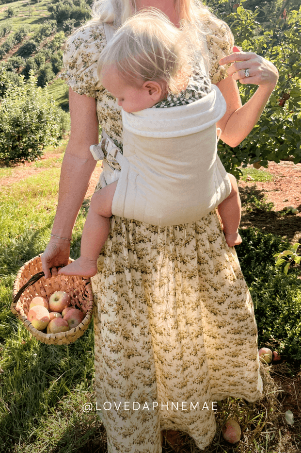 Solly Baby - Oat Heritage Dot Buckle Carrier