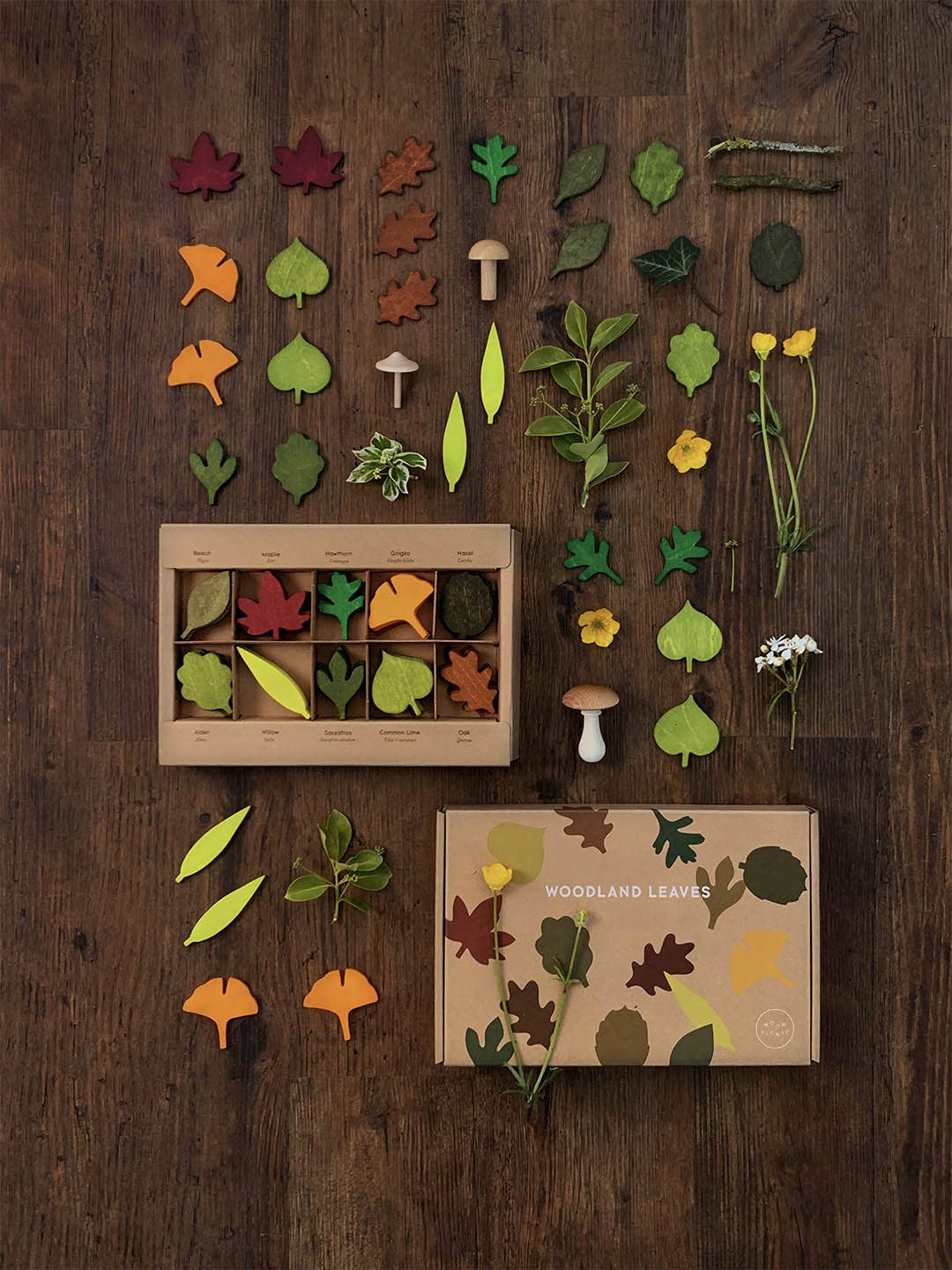 Living Refinery - Moon Picnic - Woodland Leaves