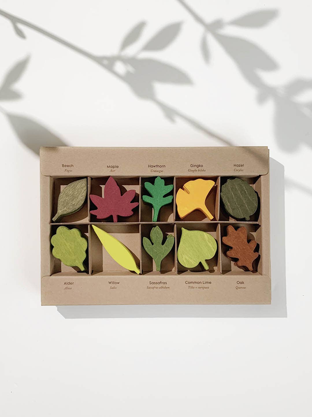Living Refinery - Moon Picnic - Woodland Leaves