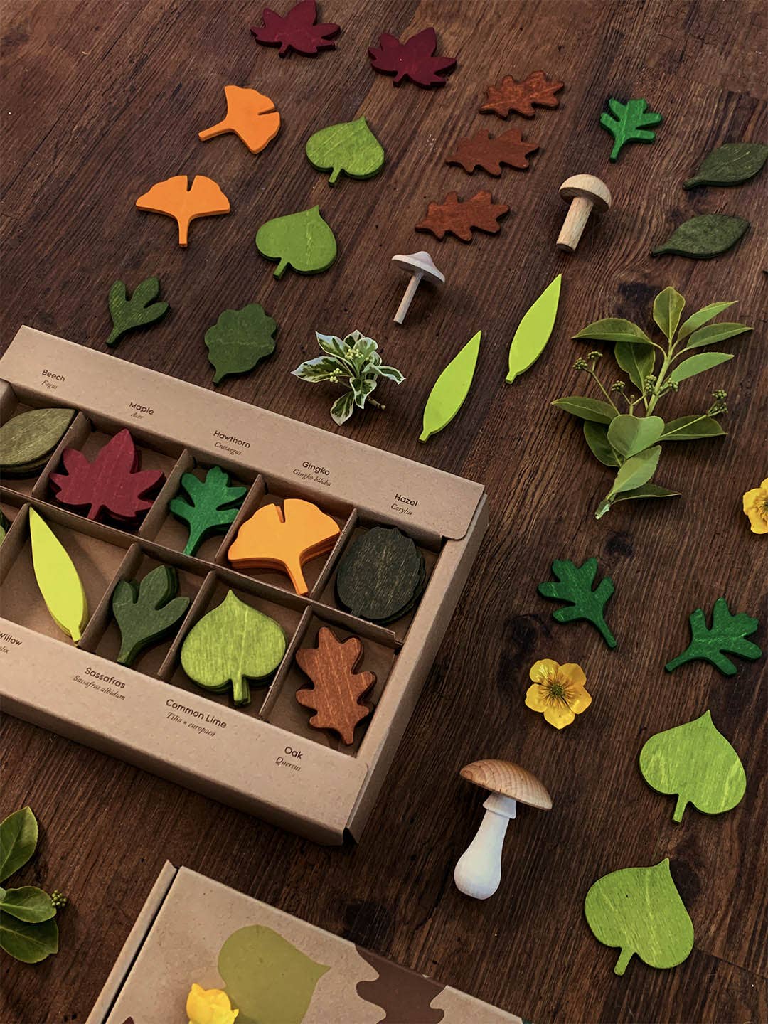 Living Refinery - Moon Picnic - Woodland Leaves