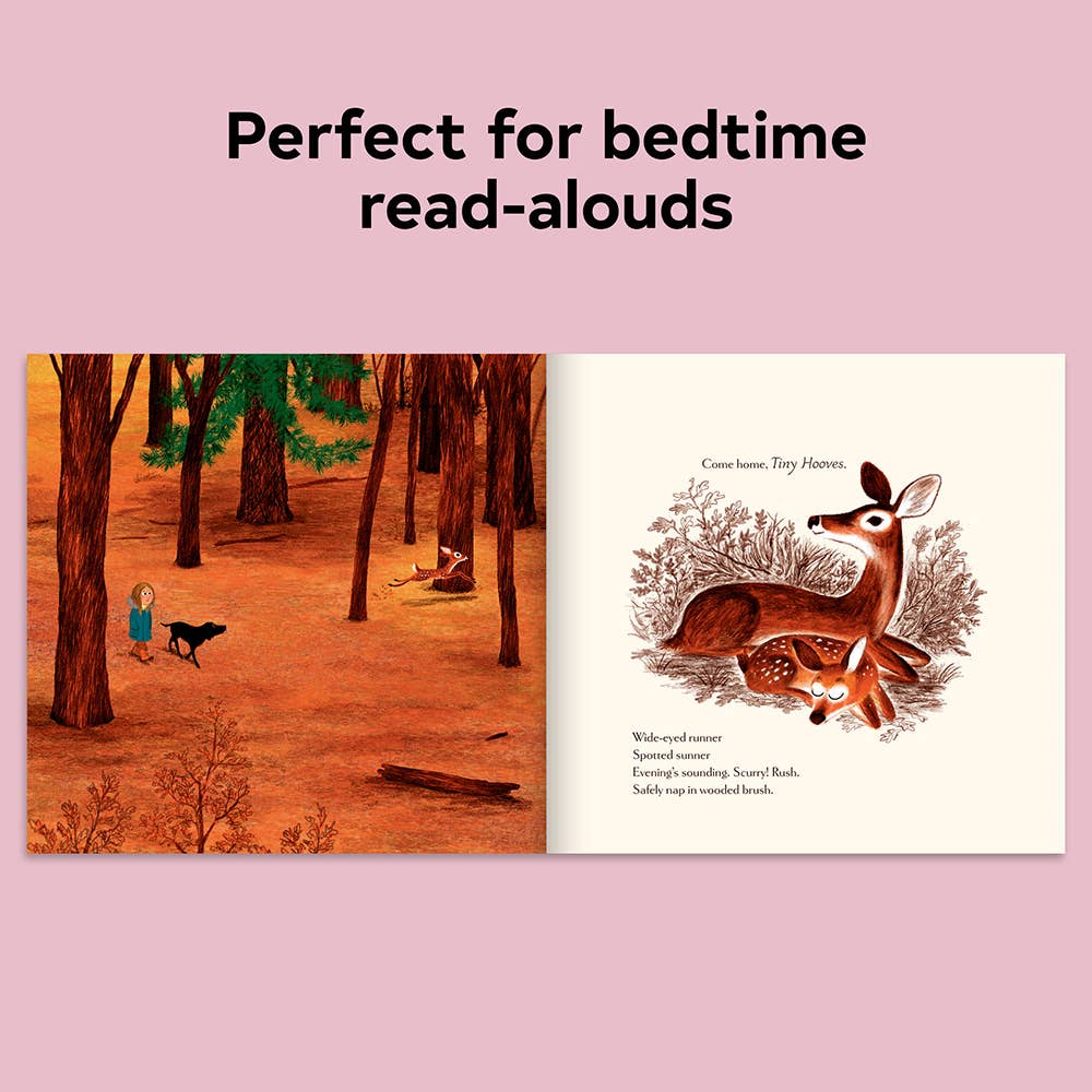 Chronicle Books - Woodland Dreams