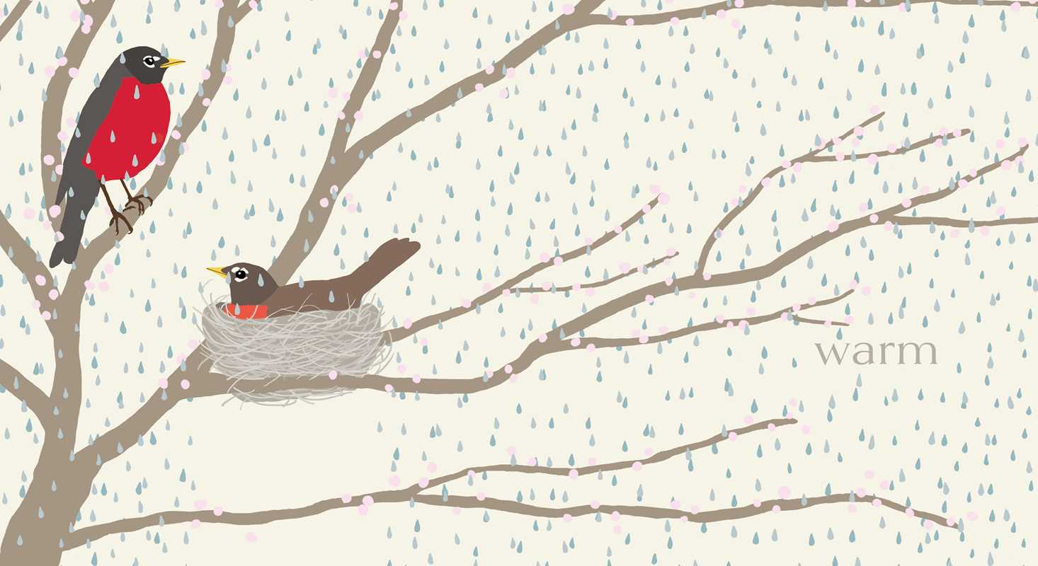 Simon & Schuster - Nest by Jorey Hurley