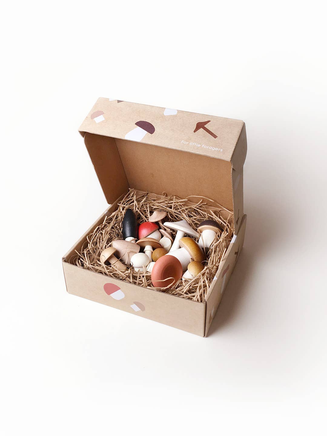 Living Refinery - Moon Picnic - Forest Mushrooms in a box