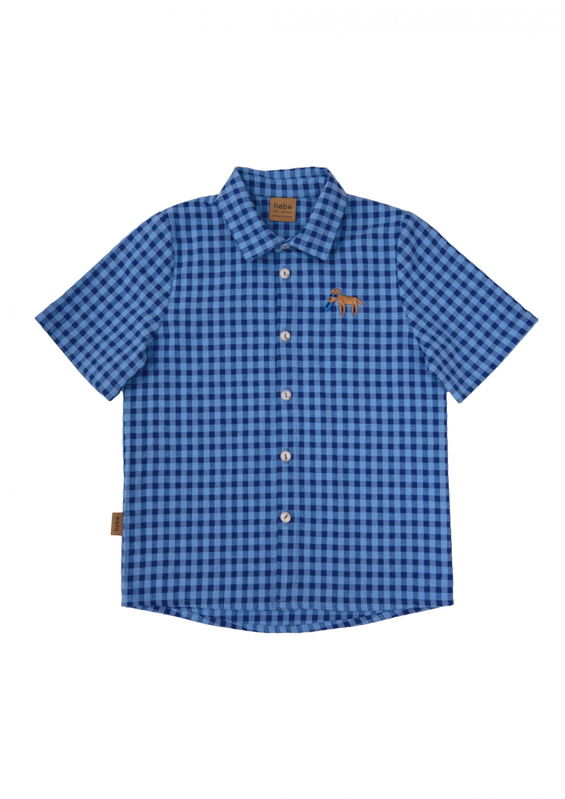 Hebe Shirt - Cotton with Blue Check and Embroidery