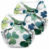Clover